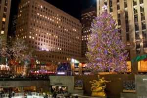 New York Holiday Lights and Movie Sites Bus Tour