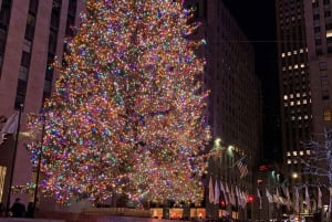 New York: tour delle luci natalizie con l'albero di Rockefeller