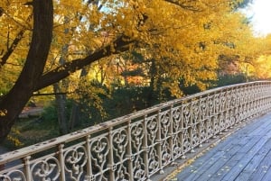 New York : visite guidée des lieux de tournage de Home Alone 2 et Elf