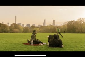 New York : visite guidée des lieux de tournage de Home Alone 2 et Elf