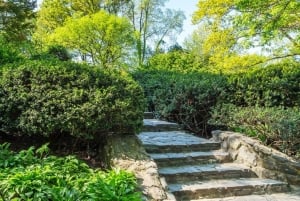 New York : visite guidée des lieux de tournage de Home Alone 2 et Elf