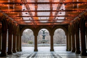 New York : visite guidée des lieux de tournage de Home Alone 2 et Elf