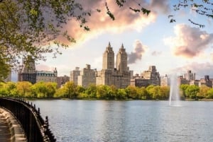 New York : visite guidée des lieux de tournage de Home Alone 2 et Elf