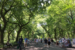 New York: Insider Tour of Central Park