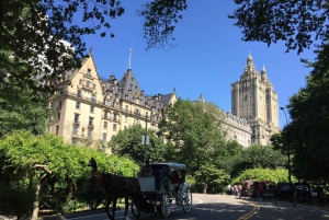 New York: Insider Tour of Central Park
