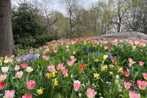 New York: Insider Tour of Central Park