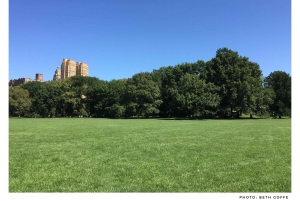 New York: Insider Tour of Central Park
