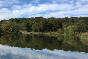 New York: Insider Tour of Central Park