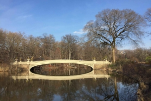 New York: Insider Tour of Central Park