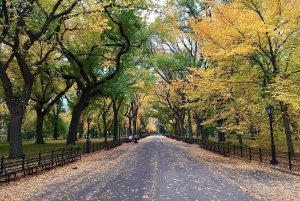 New York: Insider Tour of Central Park