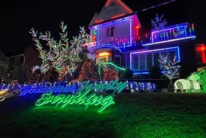 New York: French Magical Christmas Lights Tour in Brooklyn