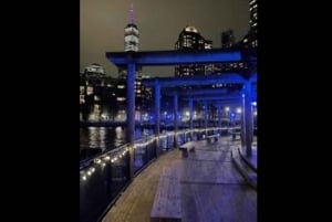 New York: Magical Christmas Tour with Hoboken Skyline Views