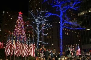 New York: Magical Christmas Tour with Hoboken Skyline Views