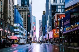 New York: Manhattan bustour met gids