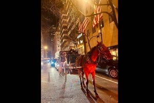 Natal em Nova Iorque: passeio de charrete pelas luzes de Natal