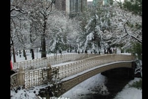 New York City: North Pole Express Central Park Carriage Tour