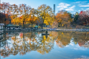 New York City: North Pole Express Central Park Carriage Tour