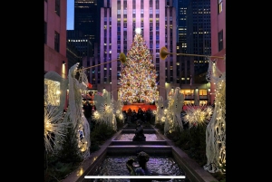 NYC Christmas Express : visite guidée des illuminations de Noël