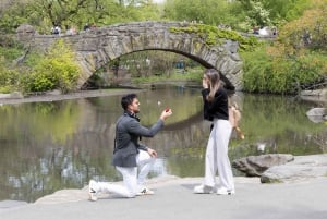 Nova York: Sessão de fotos no Central Park da 5ª Avenida de Nova York