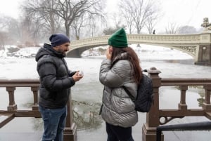 Nowy Jork: Sesja zdjęciowa w NYC Central Park 5th Ave