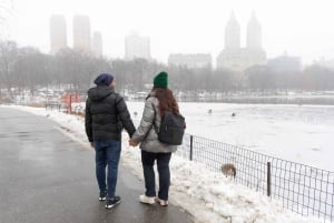 Nowy Jork: Sesja zdjęciowa w NYC Central Park 5th Ave