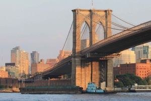 Tour en barco por Nueva York - ¡La Estatua de la Libertad, Ellis Island y más!