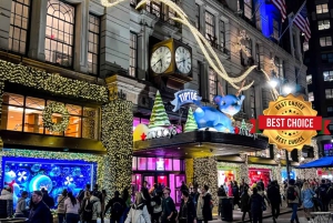 New York: Rockefeller Center Christmas Tree Pedicab Tour