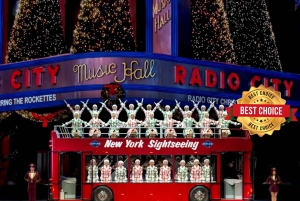 New York: Rockefeller Center Christmas Tree Pedicab Tour