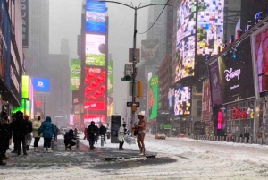 New York: Tour privato in limousine di Sex and the City