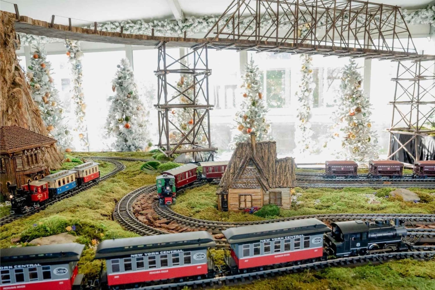 New York: Tea Bus -bussikierros + NYBG:n joulujunaesitys