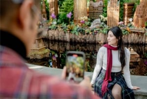 New York: Tea Bus -bussikierros + NYBG:n joulujunaesitys