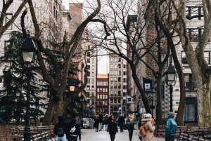New York: Det hemliga Greenwich Village med en lokal guide