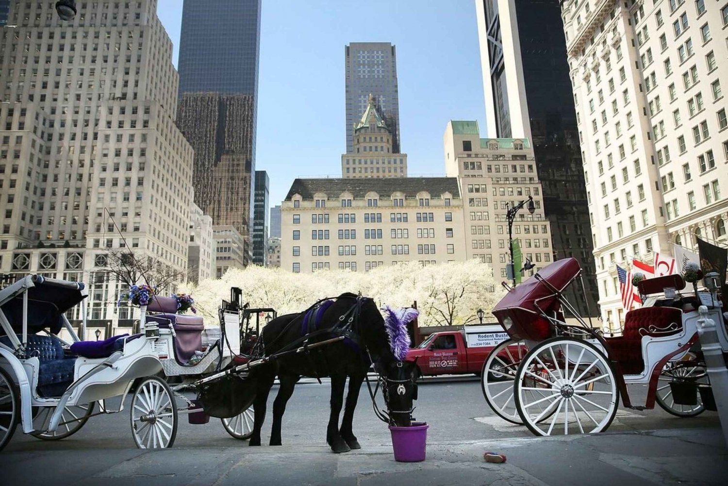 NYC Christmas Lights Carriage ride