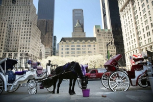 Giro in carrozza con le luci di Natale a NYC