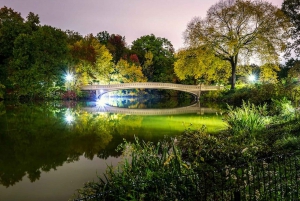 Passeio de carruagem com luzes de Natal de Nova York