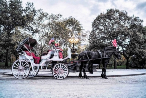 ニューヨークのクリスマスイルミネーション馬車に乗る