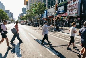 NY Contrasts: Brooklyn, Bronx, Harlem, Queens & Coney Island