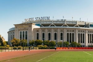 NY Contrasts: Brooklyn, Bronx, Harlem, Queens & Coney Island