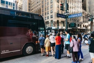 NY Contrasts: Brooklyn, Bronx, Harlem, Queens & Coney Island