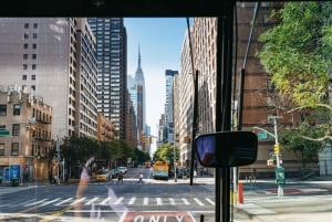 NY Contrasts: Brooklyn, Bronx, Harlem, Queens & Coney Island