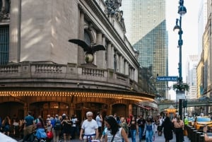 NY Contrasts: Brooklyn, Bronx, Harlem, Queens & Coney Island