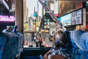 NY Contrasts: Brooklyn, Bronx, Harlem, Queens & Coney Island