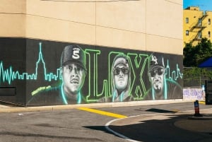 NY Contrasts: Brooklyn, Bronx, Harlem, Queens & Coney Island