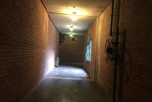 Maffia och spöktur i NY, Ellis Island och Frihetsgudinnan