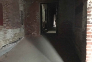 Maffia och spöktur i NY, Ellis Island och Frihetsgudinnan