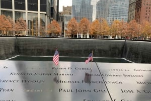 NYC: 9/11 Memorial och Financial District Walking Tour