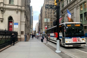 NYC: 9/11 Memorial och Financial District Walking Tour