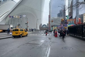 NYC: 9/11 Memorial och Financial District Walking Tour