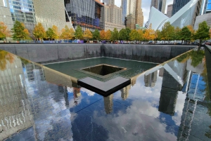 New York City: 9/11 minnesplats & finansdistriktet, vandring