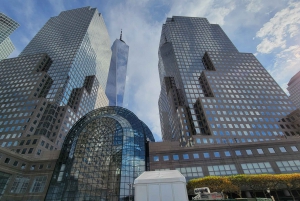 New York: tour a piedi del Memoriale dell'11 settembre e del distretto finanziario